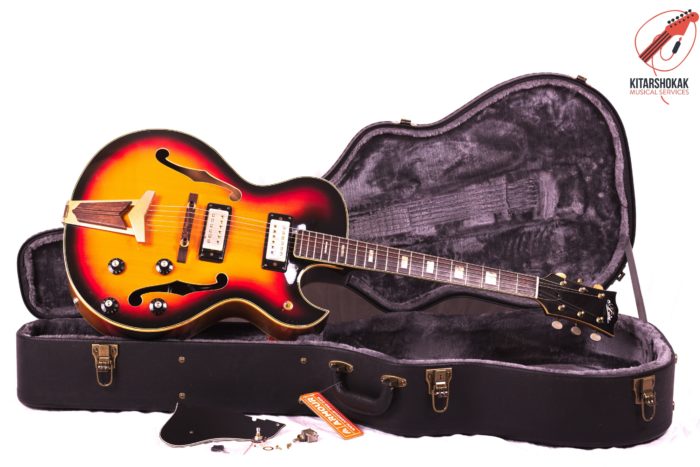 Aria Diamond Made in Japan 60´s (Tipo Gibson ES-175)